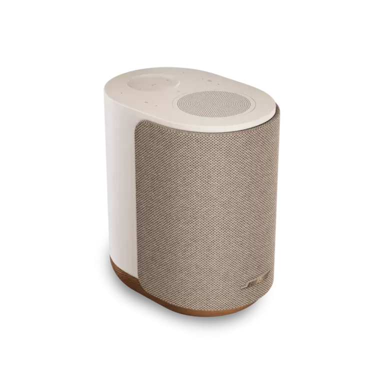 Bose Lifestyle Ultra Speaker