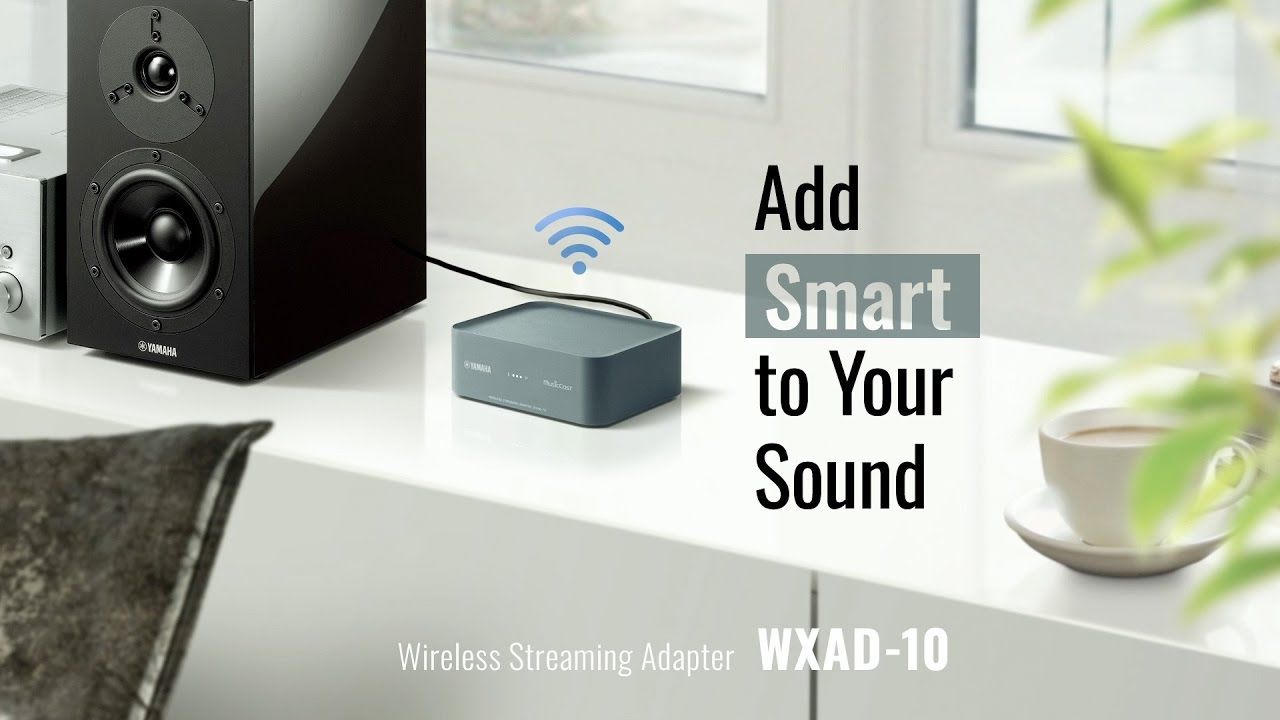 Yamaha MusicCast WXAD -10 Bộ Giải Mã Âm Thanh Đáng Giá Từng Xu